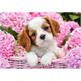 Castorland Pup in Pink Flowers 500