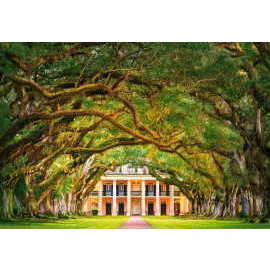 Castorland Oak Alley Plantation 1000