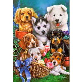 Castorland Puppies 1000