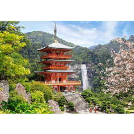 Castorland Seiganto ji temple, Japan 1000