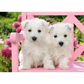 Castorland White Terrier Puppies 120