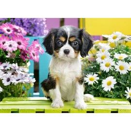 Castorland Spaniel Puppy in Flowers 70