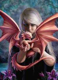 Ravensburger Anne Stokes: Dragon girls 500