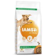 Iams Adult Large Chicken 3kg - cena, srovnání