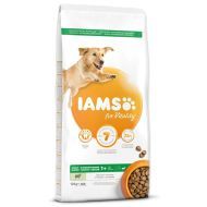 Iams Adult Large Lamb 12kg - cena, srovnání