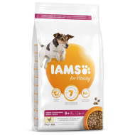 Iams Senior Small&Medium Chicken 3kg - cena, srovnání