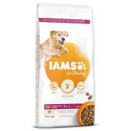 Iams Senior Large Chicken 12kg - cena, srovnání