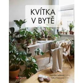 Kvítka v bytě