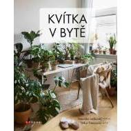 Kvítka v bytě - cena, srovnání