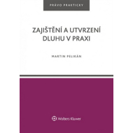 Zajištění a utvrzení dluhu v praxi - cena, srovnání