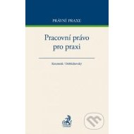 Pracovní právo pro praxi - cena, srovnání