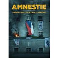 Amnestie - cena, srovnání