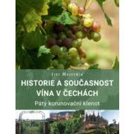 Historie a současnost vína v Čechách - cena, srovnání