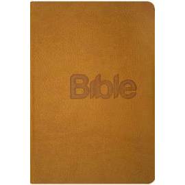 Bible, překlad 21. století (Gold kůže)