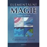 Elementární magie - cena, srovnání