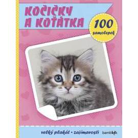 Kočičky a koťátka - Plakát a 100 samolep