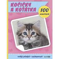 Kočičky a koťátka - Plakát a 100 samolep - cena, srovnání