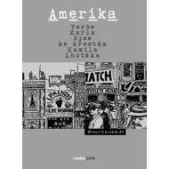 Amerika - cena, srovnání