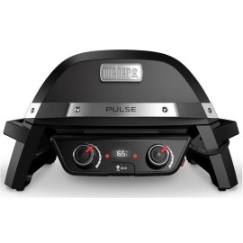 Weber Pulse 2000