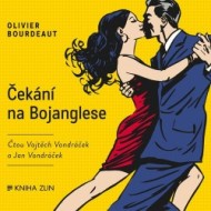 Čekání na Bojanglese - cena, srovnání