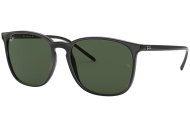 Ray Ban RB4387 - cena, srovnání