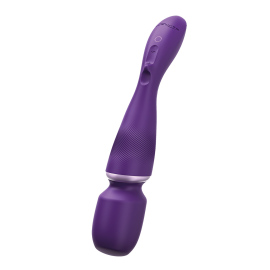 We-Vibe Wand