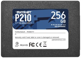 Patriot P210 256GB