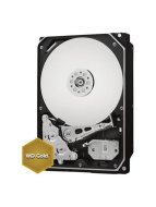 Western Digital Gold WD2005FBYZ 2TB - cena, srovnání