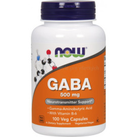 Now Foods GABA 100tbl