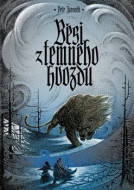 Běsi z temného hvozdu - cena, srovnání