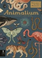Animalium - cena, srovnání