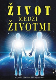 Život medzi životmi