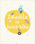 Zrodila sa hviezdička - cena, srovnání