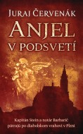 Anjel v podsvetí - cena, srovnání