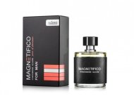 Valavani Magnetifico Pheromone Allure for Man 50ml