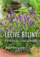 Léčivé byliny v květináči a na zahradě - cena, srovnání