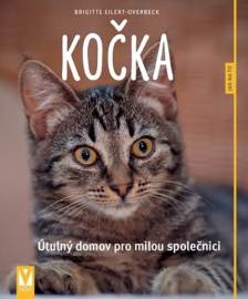 Kočka - Útulný domov pro milou společnici
