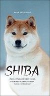 Shiba - cena, srovnání
