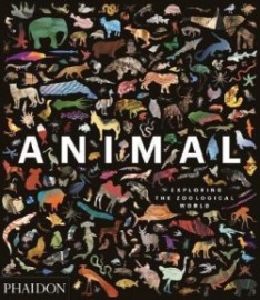 Animal Exploring the Zoological World