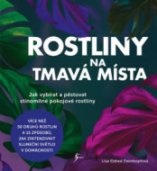 Rostliny na tmavá místa - cena, srovnání
