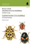 Brouci čeledi slunéčkovití (Coccinellidae) - cena, srovnání