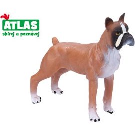 Wiky Atlas Pes Boxer
