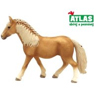 Wiky Atlas Kôň Hafling - cena, srovnání