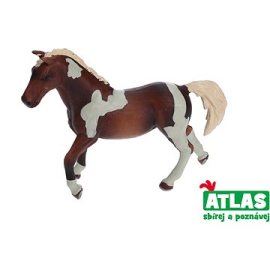 Wiky Atlas Kôň