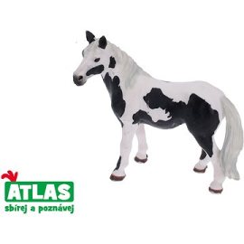 Wiky Atlas Kôň - strakatý