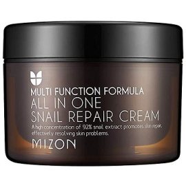 Mizon All In One Snail Repair Cream 120ml