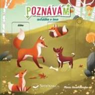 Poznávám zvírátka v lese - cena, srovnání