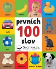 Prvních 100 slov