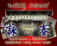 Wing Chun Majstrovstvo. Základy Boja + DVD - cena, srovnání