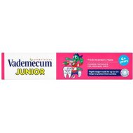Vademecum Junior Fresh Strawberry 75ml - cena, srovnání
